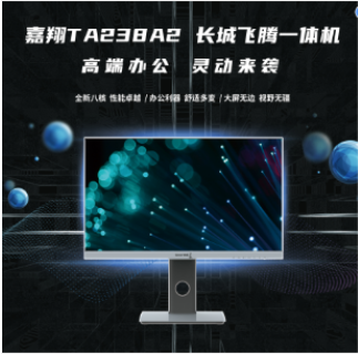長城/GreatWall TA238A2 臺式計(jì)算機(jī) 嘉翔TA238A2一體機(jī)電腦國產(chǎn)化(飛騰D2000/8核/8GB/256GB/2G獨(dú)顯）